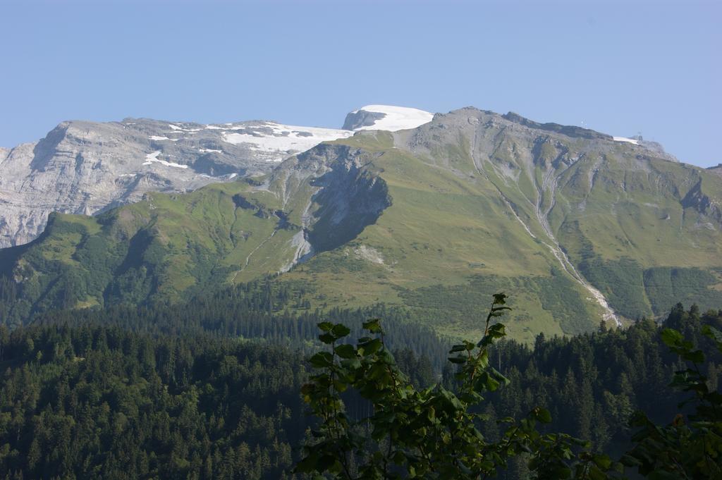 Schweizerhof Engelberg
