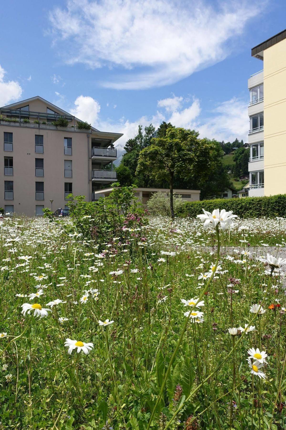 Schweizerhof